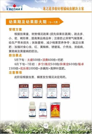 龍燈化學 深耕農業，以技術推廣服務為農賦能