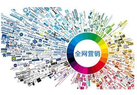 網絡推廣營銷實戰全攻略與推廣員高效執行指南